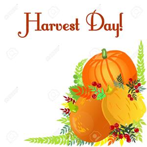  harvest